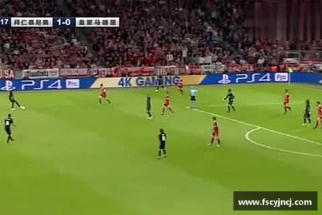 了解k1体育